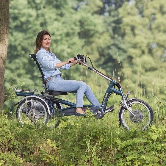 Easy Rider Tricycle from Van Raam