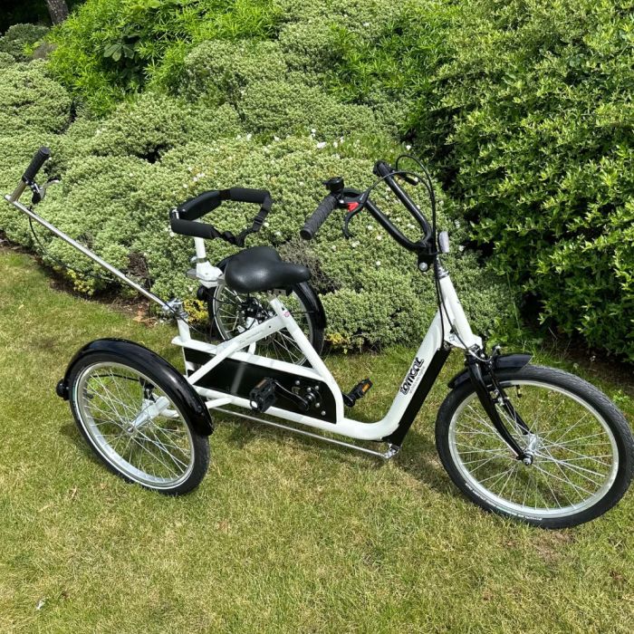 Cat trike sale