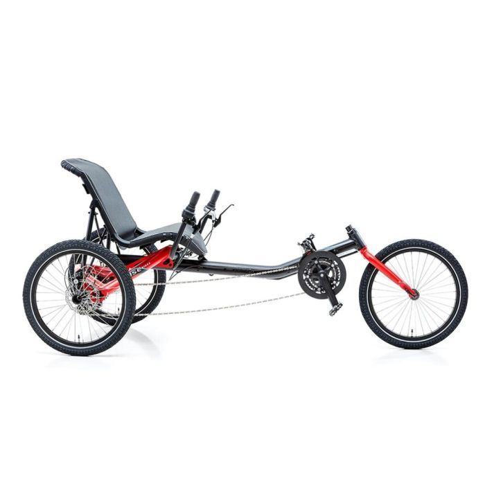 Recumbent trike hoist online