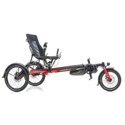 Lepus Steps Trike