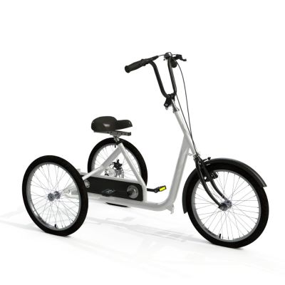 Adapted tricycle on sale