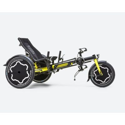 Trix Kids Recumbent Adaptive Trike 